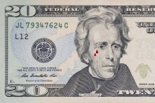 1424959335741.Andrew Jackson