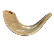 723_small-shofar_1